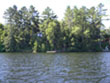 Scenic Picture